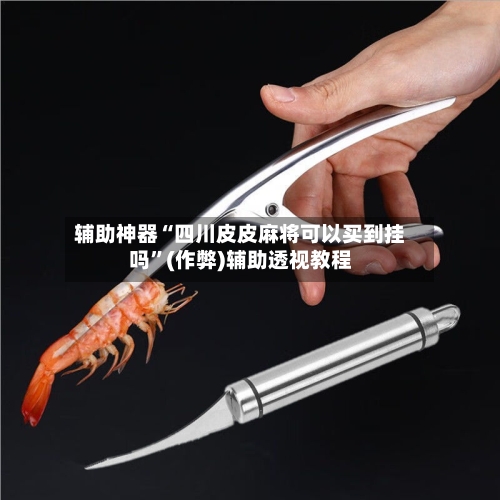 辅助神器“四川皮皮麻将可以买到挂吗”(作弊)辅助透视教程