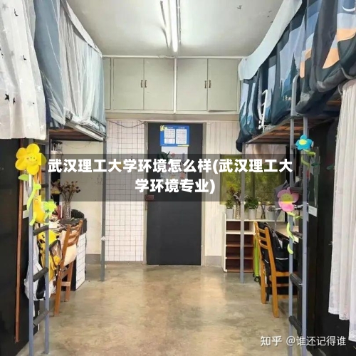 武汉理工大学环境怎么样(武汉理工大学环境专业)