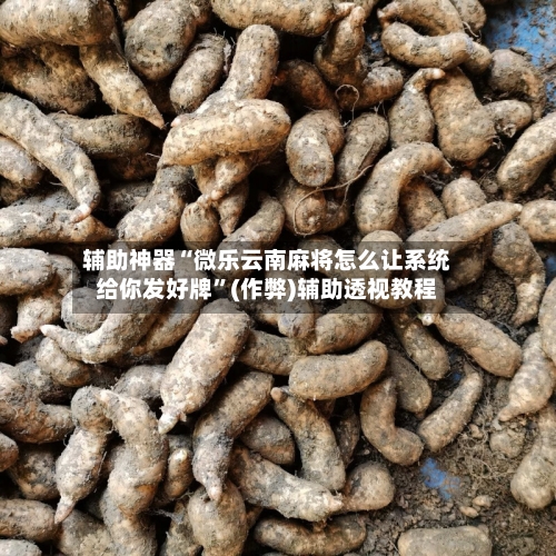 辅助神器“微乐云南麻将怎么让系统给你发好牌”(作弊)辅助透视教程