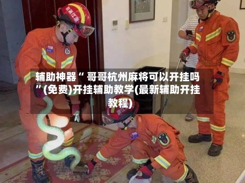 辅助神器“ 哥哥杭州麻将可以开挂吗”(免费)开挂辅助教学(最新辅助开挂教程)