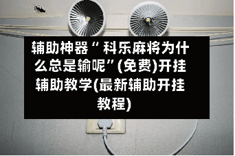 辅助神器“ 科乐麻将为什么总是输呢”(免费)开挂辅助教学(最新辅助开挂教程)-第3张图片