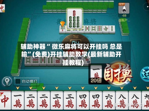 辅助神器“ 微乐麻将可以开挂吗 总是输”(免费)开挂辅助教学(最新辅助开挂教程)-第2张图片