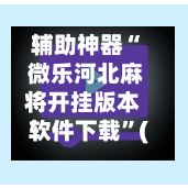 辅助神器“ 微乐河北麻将开挂版本软件下载”(免费)开挂辅助教学(最新辅助开挂教程)-第2张图片