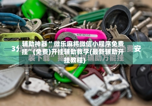辅助神器“ 微乐麻将微信小程序免费挂”(免费)开挂辅助教学(最新辅助开挂教程)-第3张图片