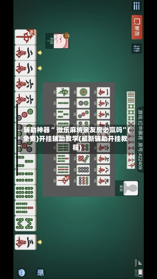 辅助神器“ 微乐麻将亲友房必赢吗	”(免费)开挂辅助教学(最新辅助开挂教程)-第3张图片