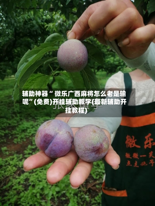 辅助神器“ 微乐广西麻将怎么老是输呢”(免费)开挂辅助教学(最新辅助开挂教程)-第2张图片