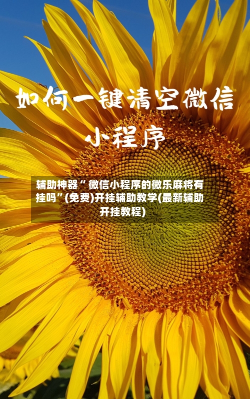 辅助神器“ 微信小程序的微乐麻将有挂吗”(免费)开挂辅助教学(最新辅助开挂教程)