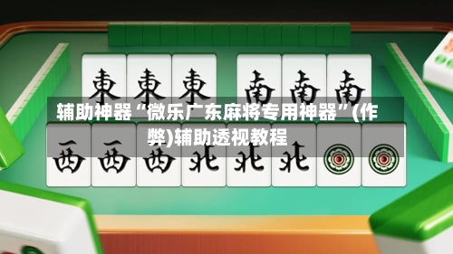 辅助神器“微乐广东麻将专用神器	”(作弊)辅助透视教程-第2张图片