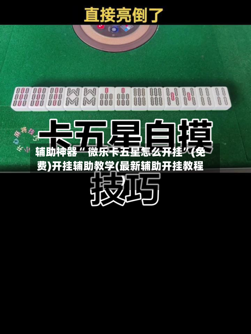 辅助神器“ 微乐卡五星怎么开挂”(免费)开挂辅助教学(最新辅助开挂教程)-第2张图片