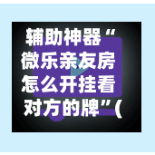 辅助神器“微乐亲友房怎么开挂看对方的牌”(作弊)辅助透视教程-第3张图片