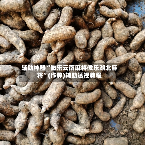 辅助神器“微乐云南麻将微乐湖北麻将”(作弊)辅助透视教程-第2张图片