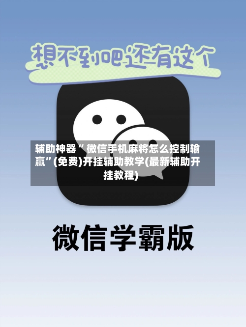 辅助神器“ 微信手机麻将怎么控制输赢	”(免费)开挂辅助教学(最新辅助开挂教程)-第3张图片