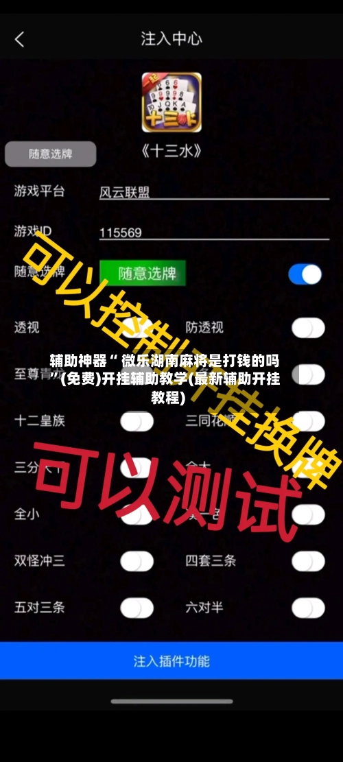 辅助神器“ 微乐湖南麻将是打钱的吗”(免费)开挂辅助教学(最新辅助开挂教程)-第2张图片