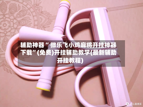 辅助神器“ 微乐飞小鸡麻将开挂神器下载”(免费)开挂辅助教学(最新辅助开挂教程)-第2张图片