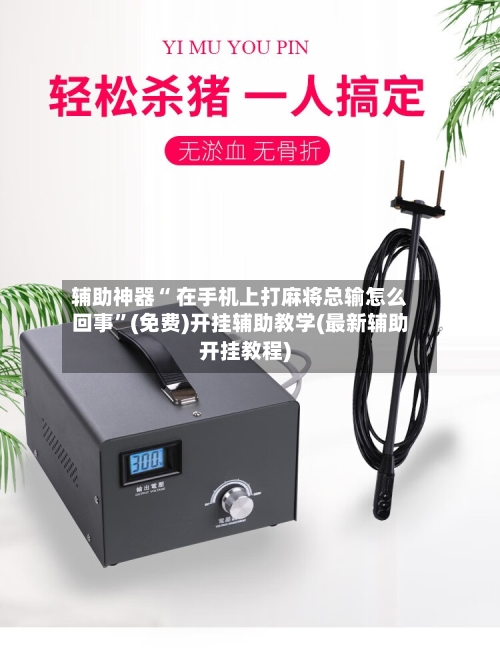 辅助神器“ 在手机上打麻将总输怎么回事	”(免费)开挂辅助教学(最新辅助开挂教程)-第3张图片