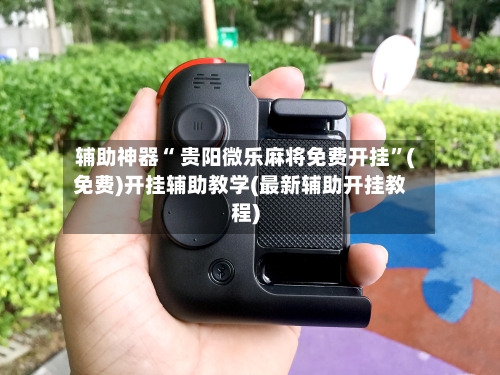 辅助神器“ 贵阳微乐麻将免费开挂”(免费)开挂辅助教学(最新辅助开挂教程)