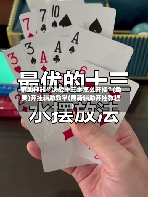 辅助神器“ 决战十三水怎么开挂”(免费)开挂辅助教学(最新辅助开挂教程)