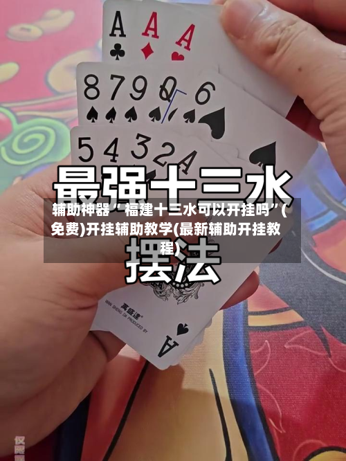 辅助神器“ 福建十三水可以开挂吗”(免费)开挂辅助教学(最新辅助开挂教程)