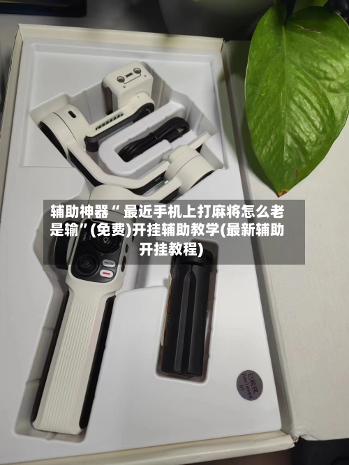 辅助神器“ 最近手机上打麻将怎么老是输	”(免费)开挂辅助教学(最新辅助开挂教程)-第3张图片