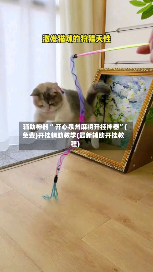 辅助神器“ 开心泉州麻将开挂神器”(免费)开挂辅助教学(最新辅助开挂教程)