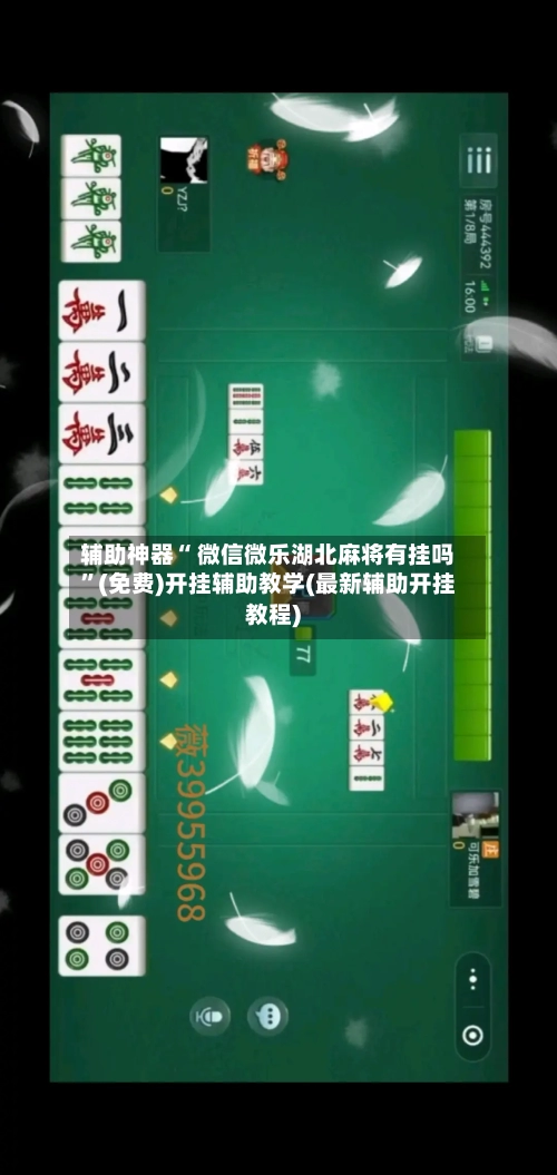 辅助神器“ 微信微乐湖北麻将有挂吗”(免费)开挂辅助教学(最新辅助开挂教程)-第3张图片