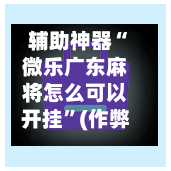 辅助神器“微乐广东麻将怎么可以开挂”(作弊)辅助透视教程