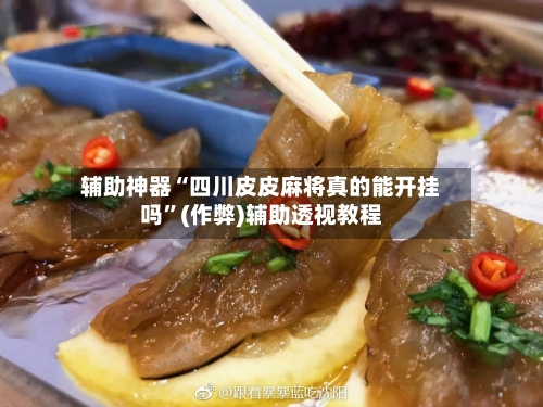 辅助神器“四川皮皮麻将真的能开挂吗”(作弊)辅助透视教程-第2张图片