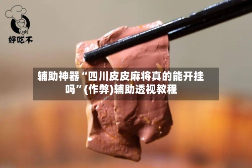 辅助神器“四川皮皮麻将真的能开挂吗”(作弊)辅助透视教程