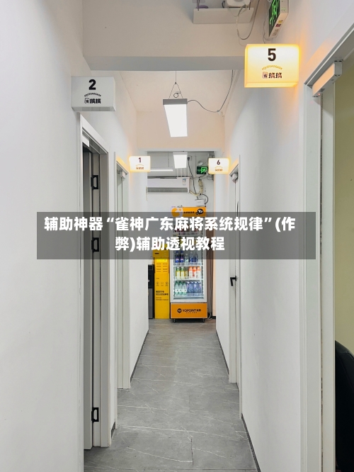 辅助神器“雀神广东麻将系统规律”(作弊)辅助透视教程-第2张图片