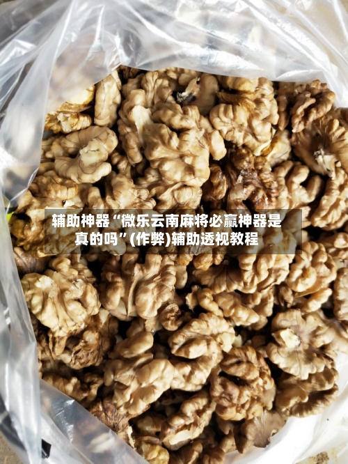 辅助神器“微乐云南麻将必赢神器是真的吗	”(作弊)辅助透视教程-第3张图片