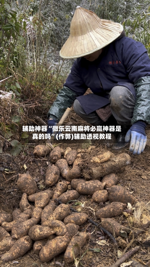 辅助神器“微乐云南麻将必赢神器是真的吗”(作弊)辅助透视教程
