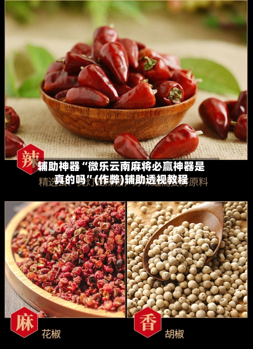 辅助神器“微乐云南麻将必赢神器是真的吗”(作弊)辅助透视教程-第2张图片