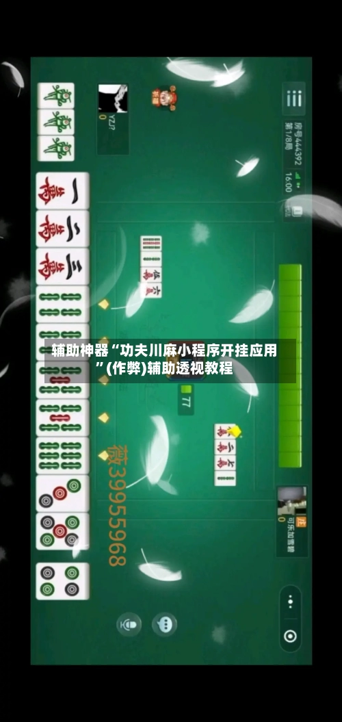 辅助神器“功夫川麻小程序开挂应用”(作弊)辅助透视教程-第2张图片