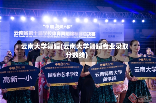 云南大学舞蹈(云南大学舞蹈专业录取分数线)