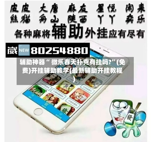 辅助神器“ 微乐春天扑克有挂吗?”(免费)开挂辅助教学(最新辅助开挂教程)-第3张图片