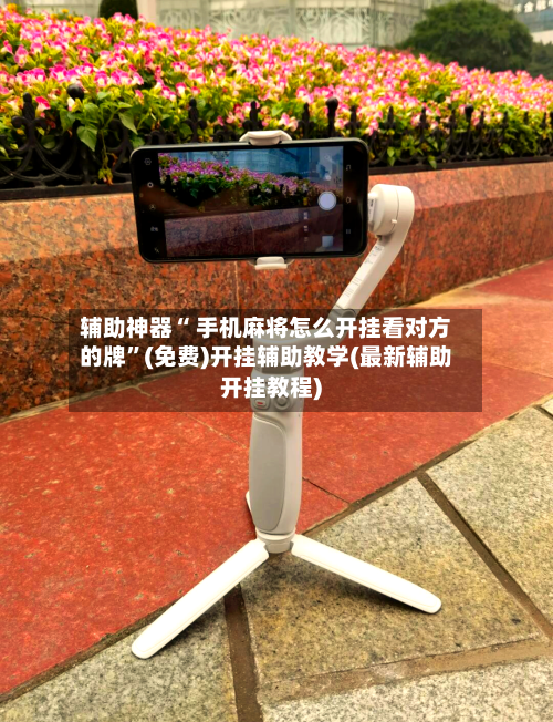 辅助神器“ 手机麻将怎么开挂看对方的牌”(免费)开挂辅助教学(最新辅助开挂教程)-第3张图片