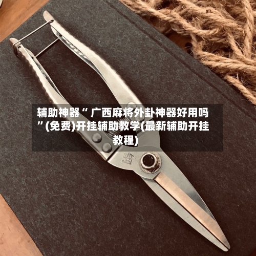 辅助神器“ 广西麻将外卦神器好用吗”(免费)开挂辅助教学(最新辅助开挂教程)-第2张图片