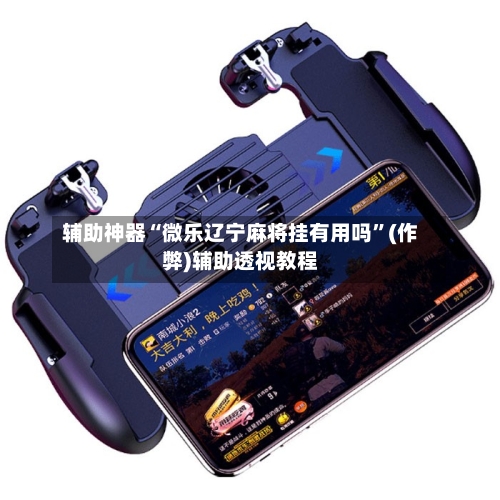 辅助神器“微乐辽宁麻将挂有用吗”(作弊)辅助透视教程-第2张图片