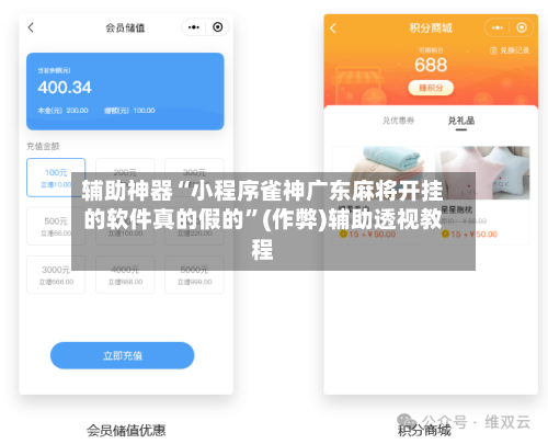 辅助神器“小程序雀神广东麻将开挂的软件真的假的”(作弊)辅助透视教程-第2张图片