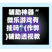 辅助神器“微乐游戏有挂吗	”(作弊)辅助透视教程-第2张图片