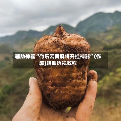 辅助神器“微乐云南麻将开挂神器”(作弊)辅助透视教程