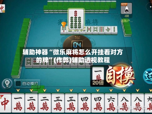 辅助神器“微乐麻将怎么开挂看对方的牌”(作弊)辅助透视教程-第2张图片