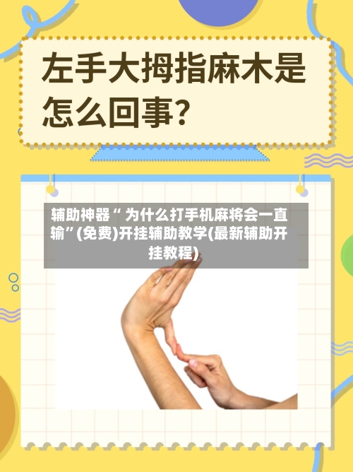 辅助神器“ 为什么打手机麻将会一直输	”(免费)开挂辅助教学(最新辅助开挂教程)-第3张图片