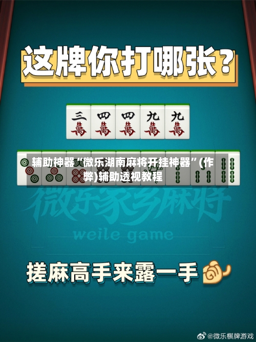 辅助神器“微乐湖南麻将开挂神器”(作弊)辅助透视教程