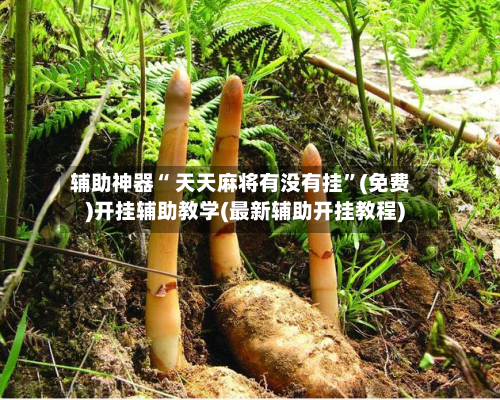 辅助神器“ 天天麻将有没有挂	”(免费)开挂辅助教学(最新辅助开挂教程)-第3张图片