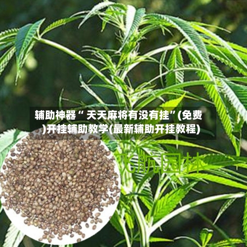 辅助神器“ 天天麻将有没有挂”(免费)开挂辅助教学(最新辅助开挂教程)-第2张图片