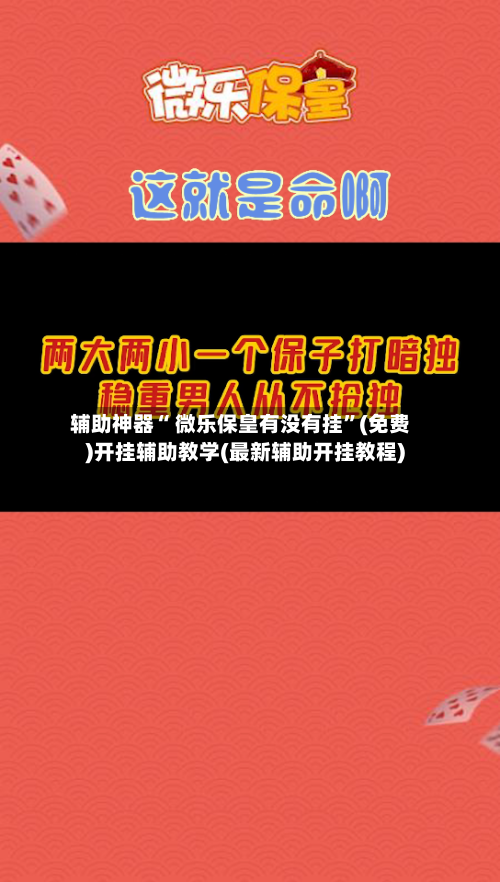 辅助神器“ 微乐保皇有没有挂”(免费)开挂辅助教学(最新辅助开挂教程)-第3张图片