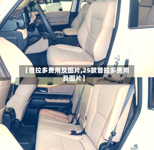 【普拉多费用及图片,25款普拉多费用及图片】