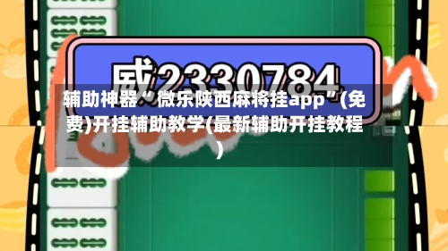 辅助神器“ 微乐陕西麻将挂app”(免费)开挂辅助教学(最新辅助开挂教程)-第2张图片