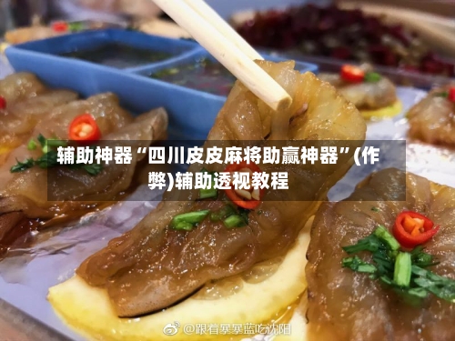 辅助神器“四川皮皮麻将助赢神器”(作弊)辅助透视教程-第2张图片